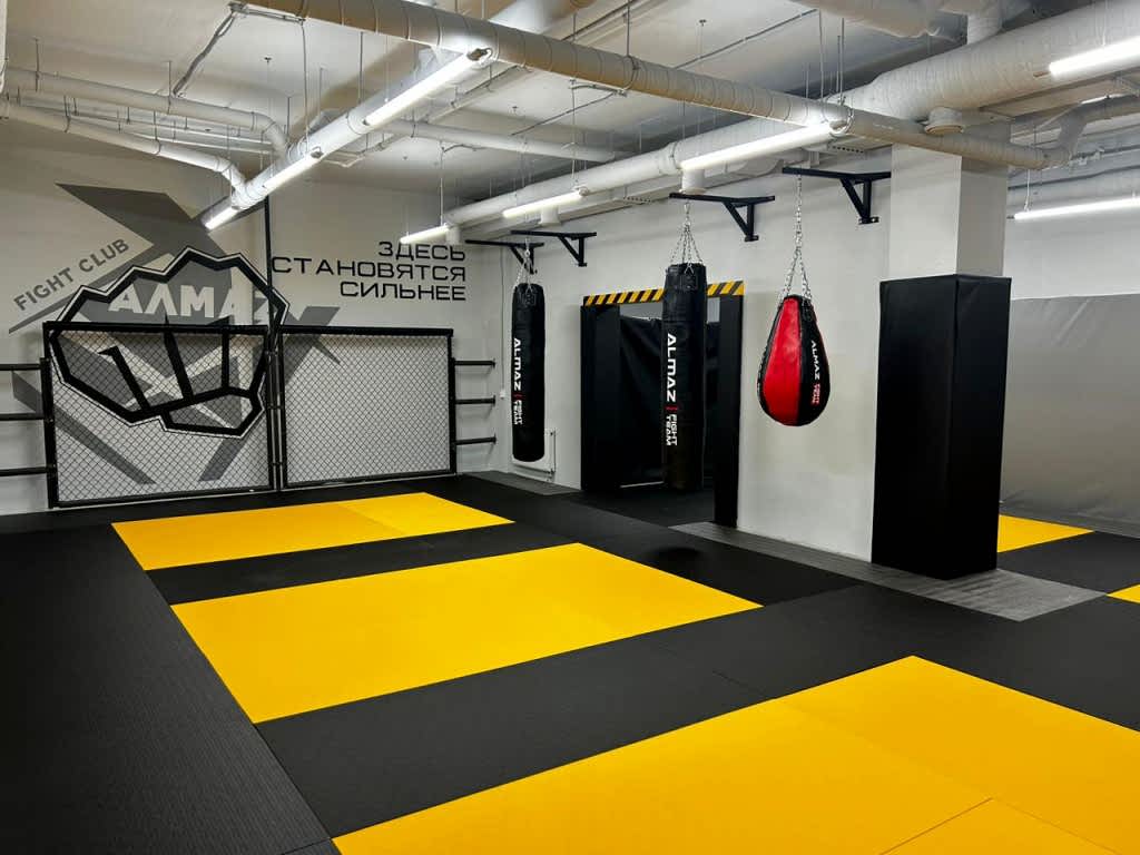 mma-na-parnase ММА на Парнасе